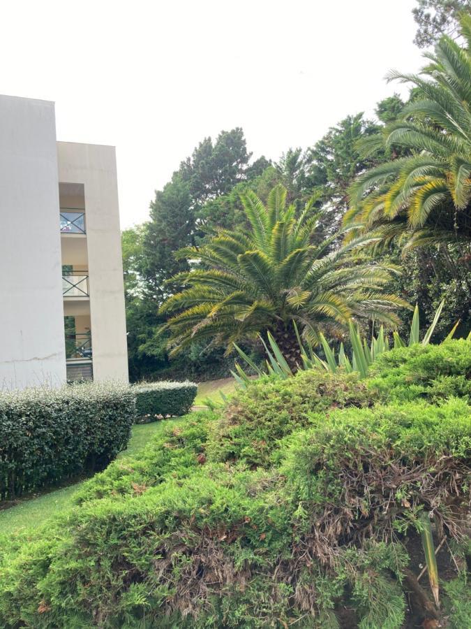 Studio Biarritz Aguilera 2 A 4 Pers Kültér fotó