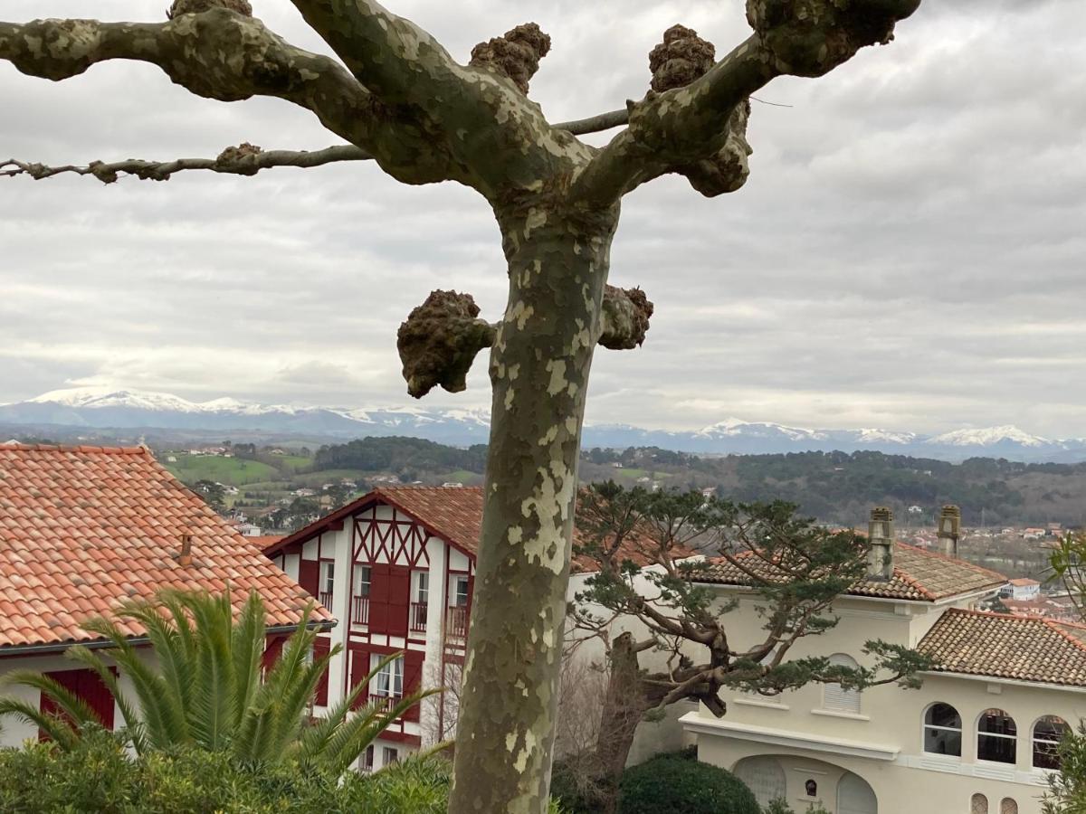 Studio Biarritz Aguilera 2 A 4 Pers Kültér fotó